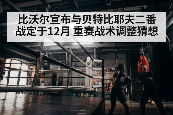 boxer training